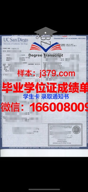 越南外交学院成绩单：培育外交人才，助力国家发展