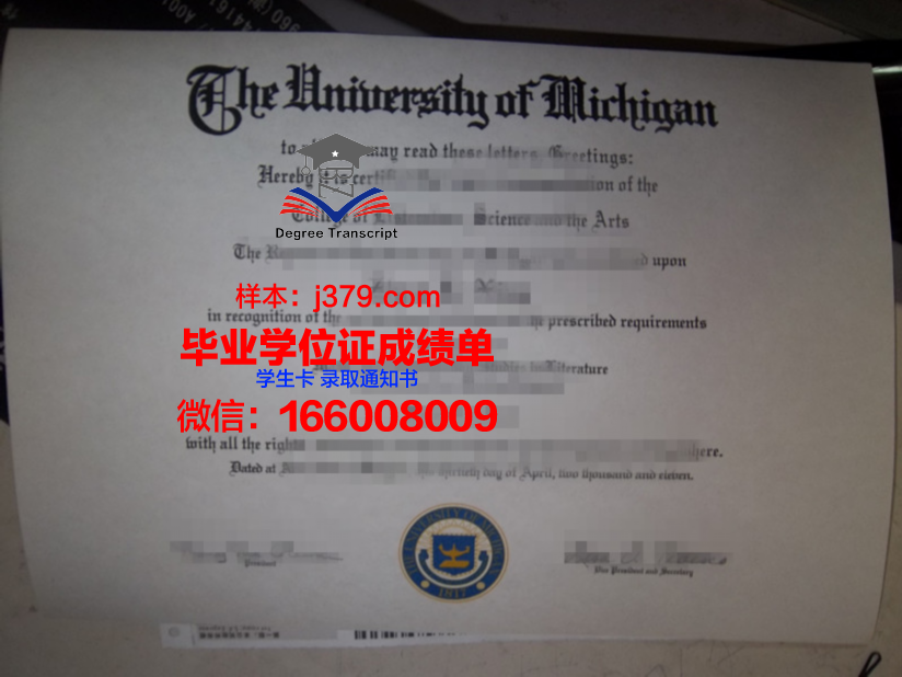 塔伊兹大学毕业证：开启人生新篇章的通行证