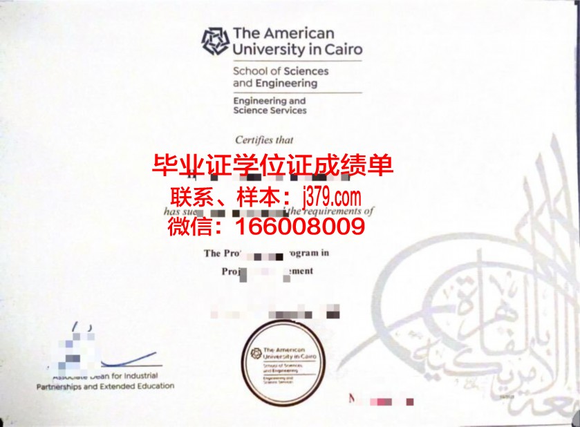 开罗大学毕业证书图片大全(开罗大学知乎)