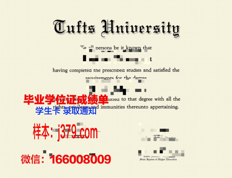 塔夫斯大学毕业证书什么颜色(塔夫茨大学smfa)