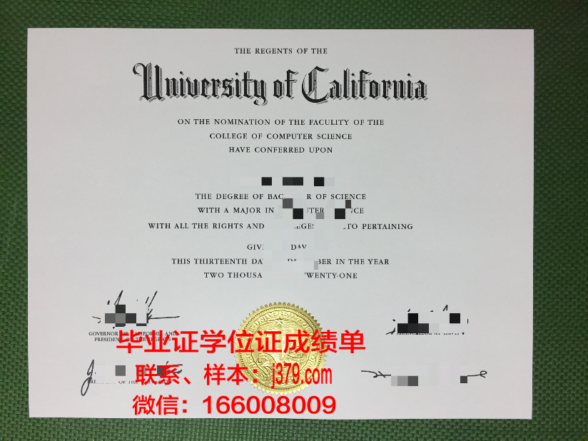 贾伊比信息技术大学毕业证成绩单