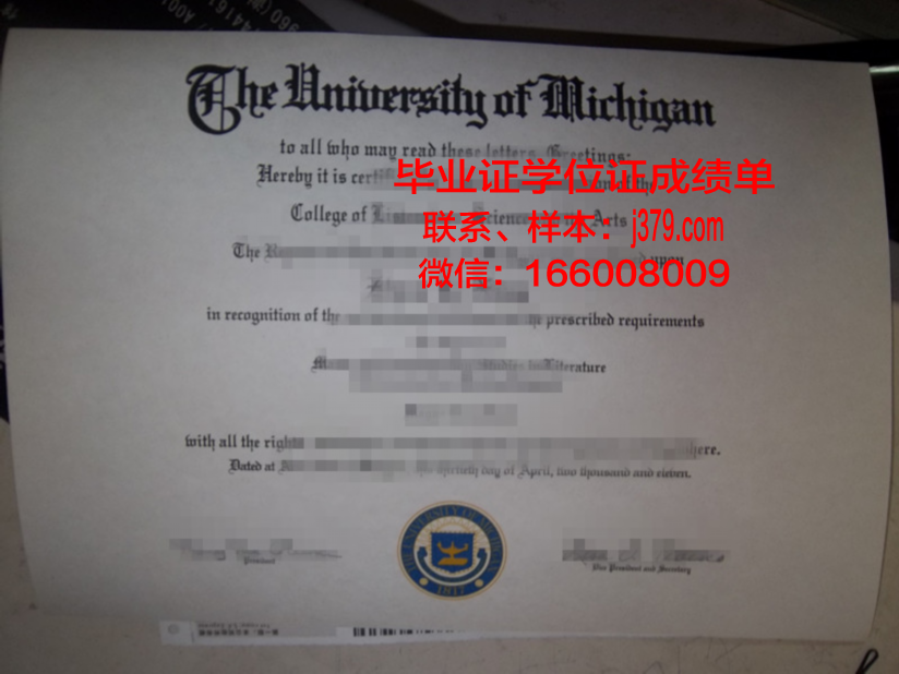 塔伊兹大学本科毕业证：开启人生新篇章的钥匙
