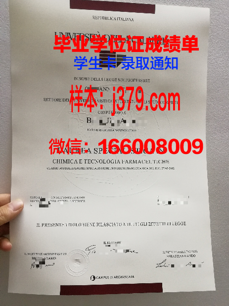 意大利毕业证分等级吗(意大利毕业证分等级吗怎么分)