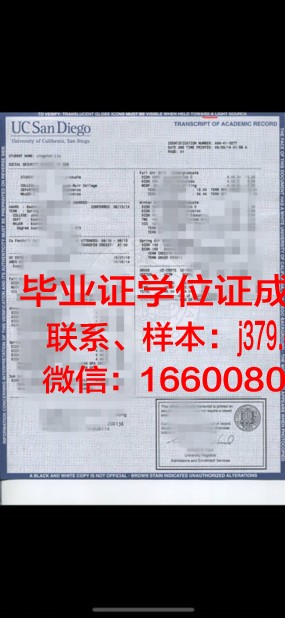 贾伊恩大学成绩单