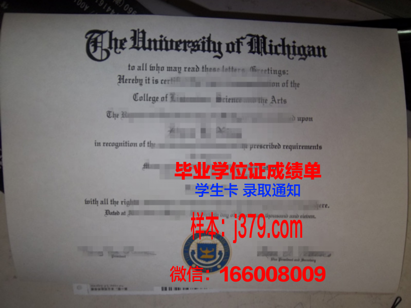 墨西哥巴耶大学毕业证壳子(墨大毕业证上的时间)