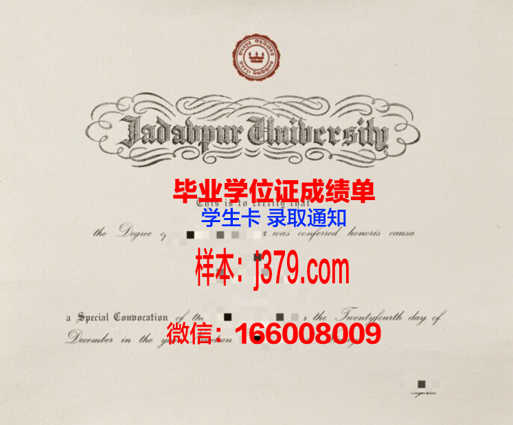 贾达普大学毕业证书图片高清(贾达普布尔大学)