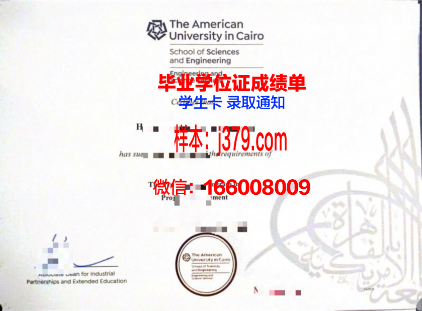 开罗大学毕业证书图片高清(开罗大学留学)
