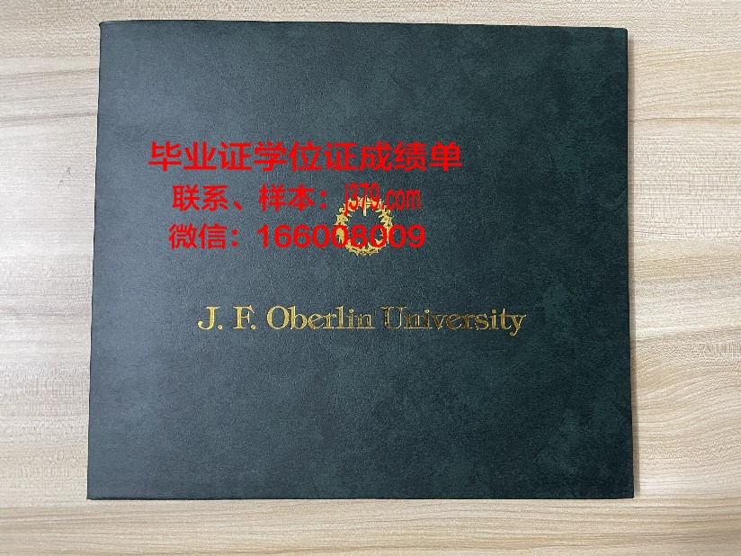 赫罗纳大学研究生毕业证(赫罗纳大学排名)