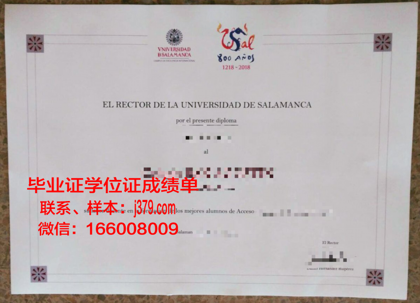 费撒巴拉政府大学学院毕业证书模板(费萨拉巴德政府学院)