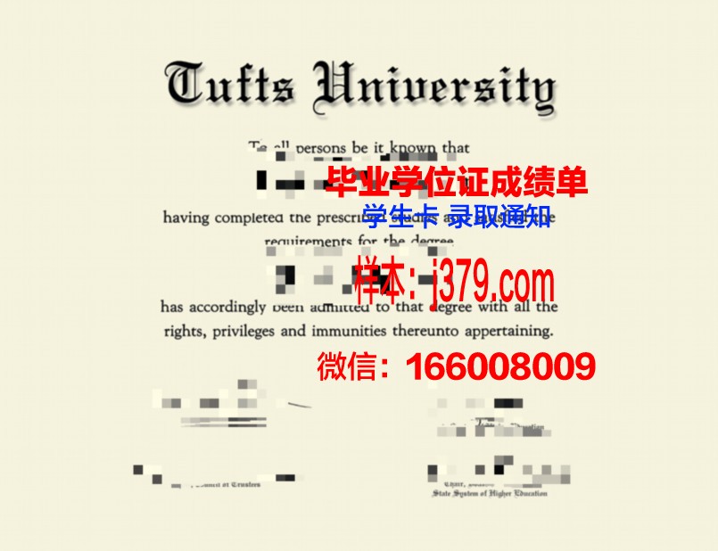 塔夫斯大学毕业证模板(塔夫斯大学学费)