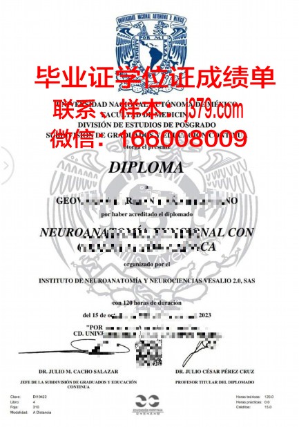 墨西哥巴耶大学博士毕业证(墨西哥博士申请)
