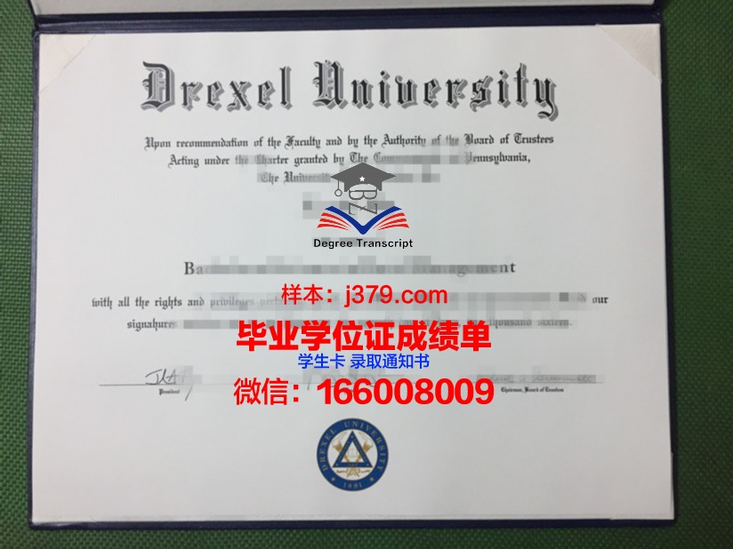 塞尔库克大学毕业证定制：传承与创新的艺术结晶