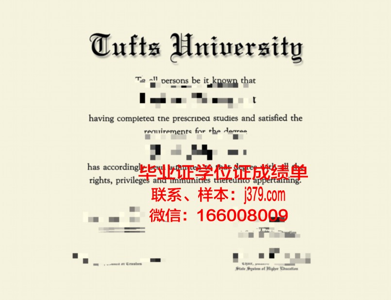 塔夫斯大学毕业证定制：传承与创新的艺术结晶