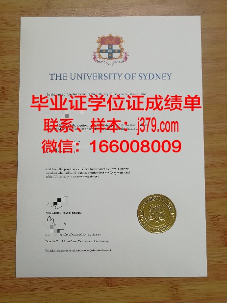 悉尼大学成绩单pdf(悉尼大学成绩单翻译)