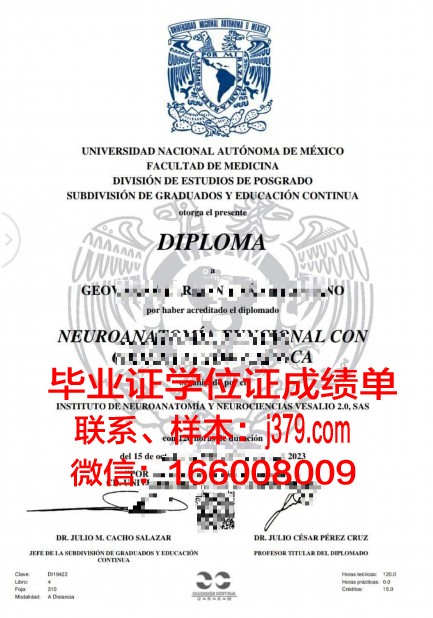 墨西哥巴耶大学毕业证样本(墨西哥高等教育)