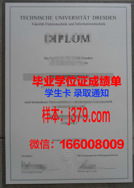 路德维希港应用技术大学毕业证是什么模样(德国路德维希港)