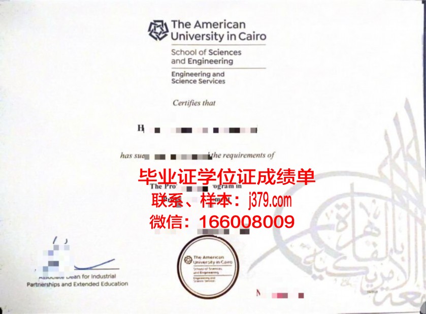 开罗大学毕业证图片(开罗大学有什么专业)