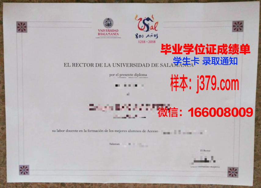 费撒巴拉政府大学学院博士毕业证书(费萨拉巴德政府学院大学)