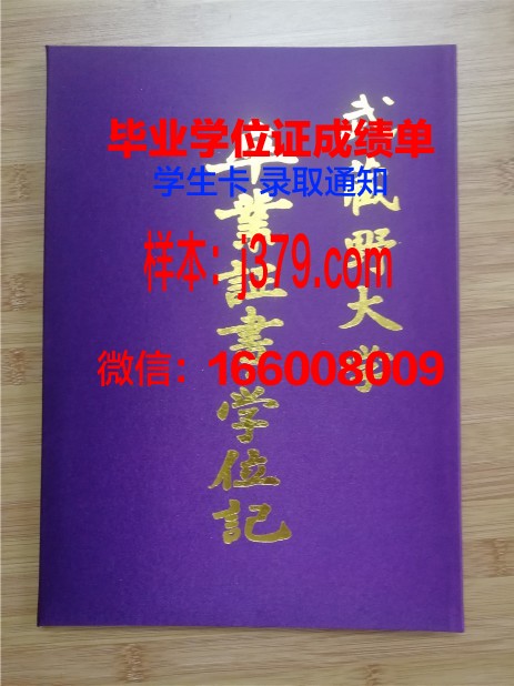 塔比亚特莫达雷斯大学毕业证壳子