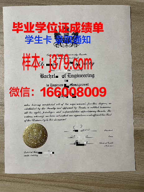 贡达尔大学毕业证等级(贡达尔大学毕业证等级怎么填)