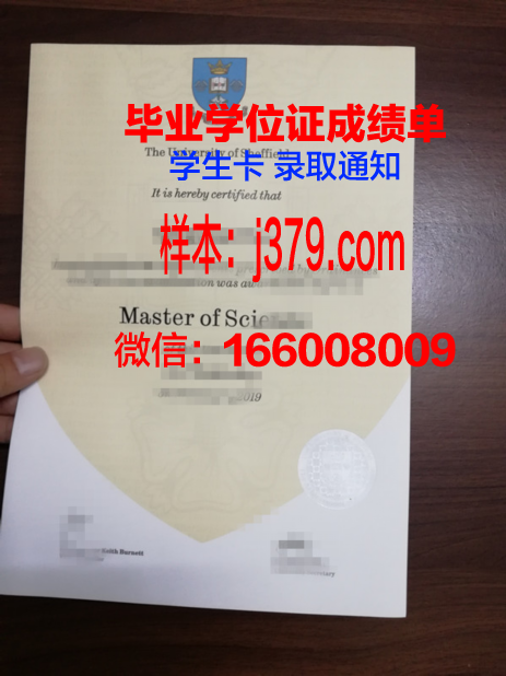 费萨尔大学毕业证书原件(谢菲尔德大学毕业证邮寄)