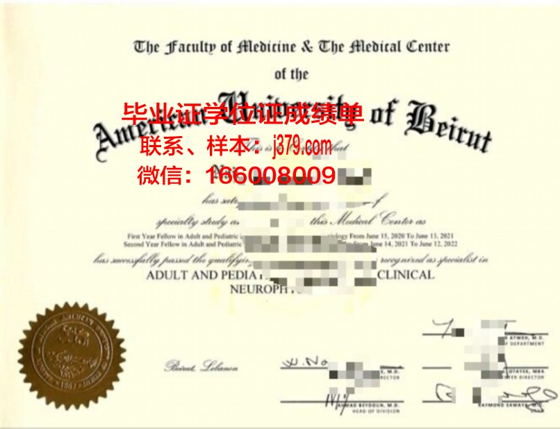贝鲁特大学学位成绩单定制：规范与风险并存