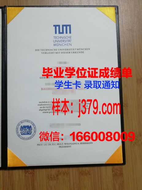 慕尼黑造型艺术学院硕士毕业证书样本(慕尼黑设计学院)