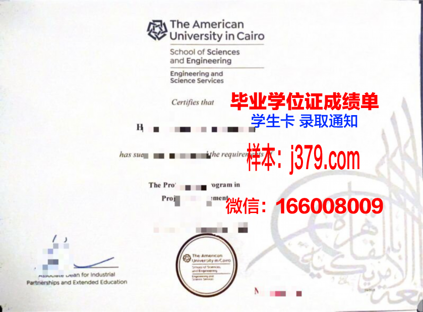 开罗大学毕业证学位文凭学历Diploma