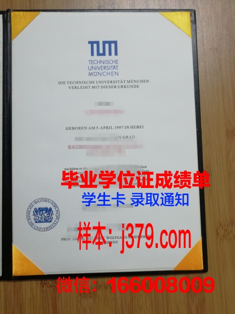 慕尼黑U硕士毕业证：一份国际认可的学术荣誉