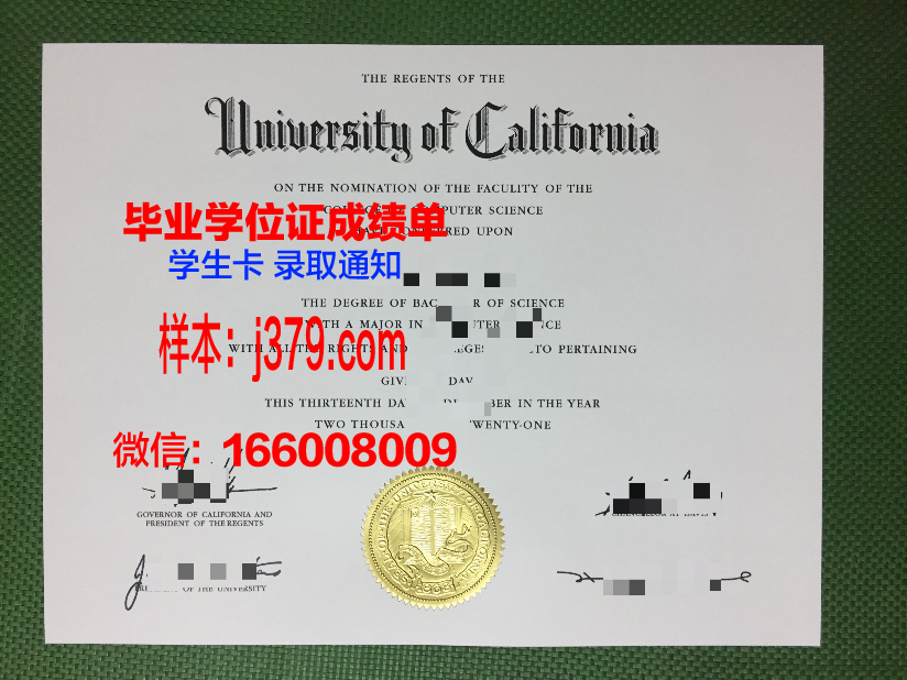 塔伊兹大学毕业证：开启人生新篇章的通行证