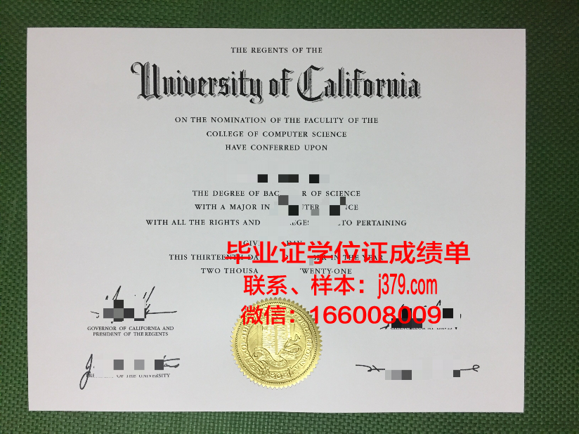 贾德沃布尔大学毕业证模板