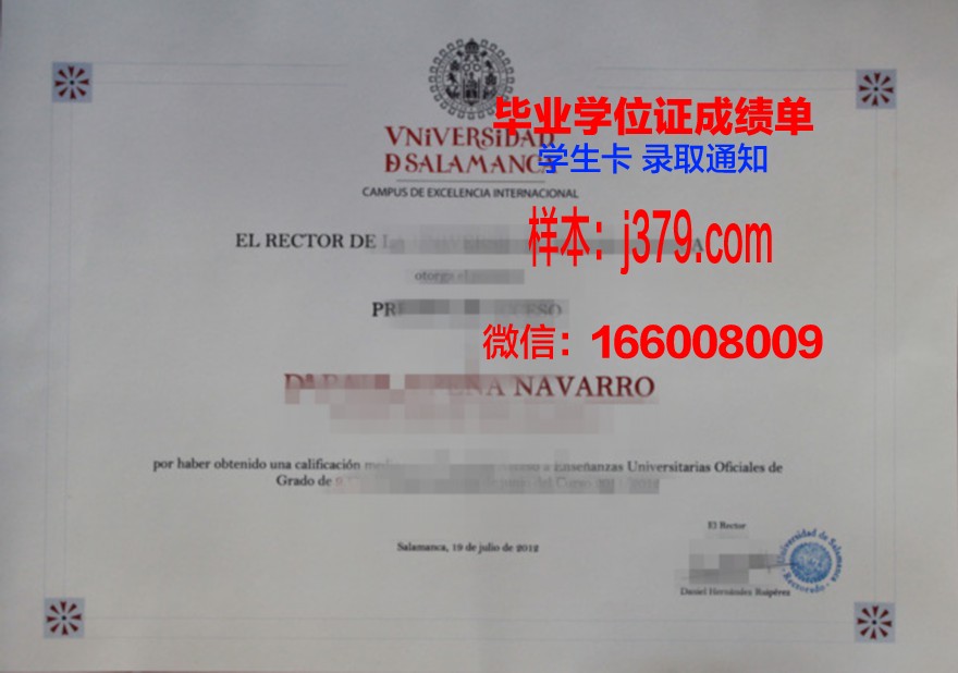费撒巴拉政府大学学院毕业证书模板(费萨拉巴德政府学院)