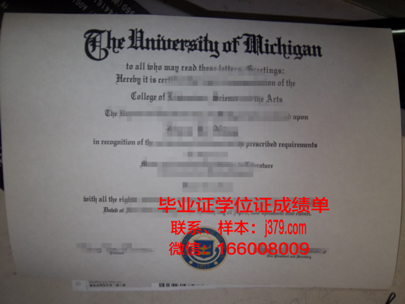 塔伊兹大学毕业证案例(塔伊兹是哪个国家)