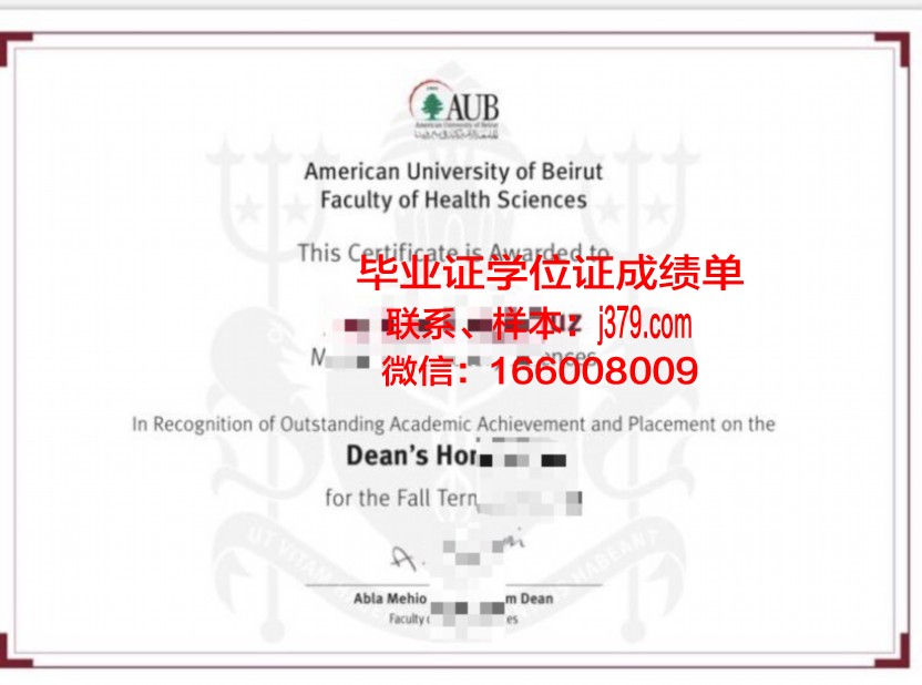 贝鲁特阿拉伯大学毕业证定制：探寻文化传承与现代工艺的结合