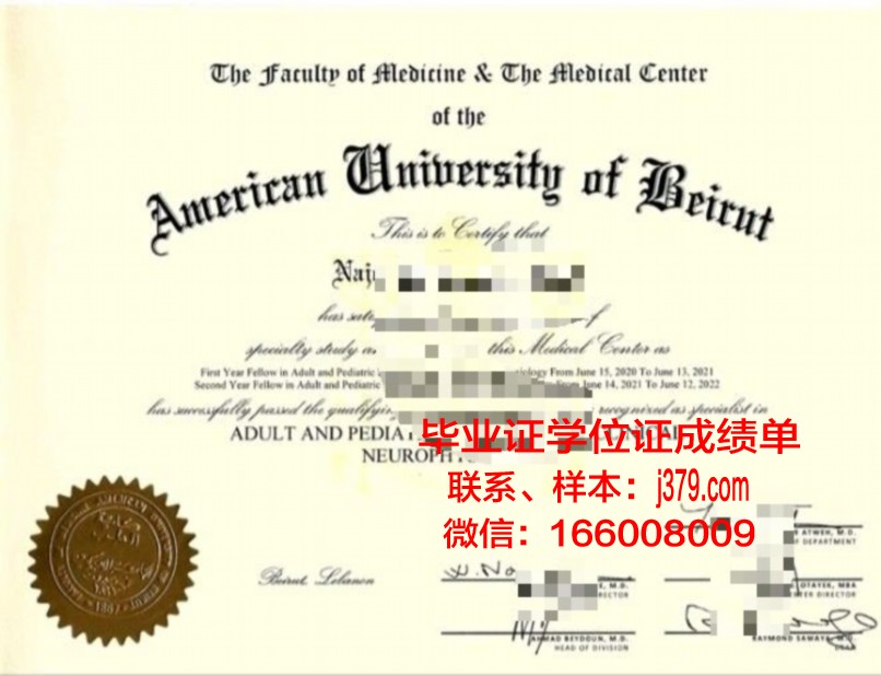 贝鲁特阿拉伯大学本科毕业证