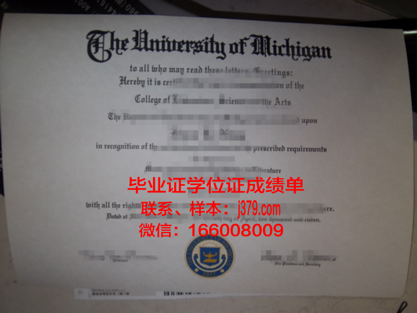 费希塔迪普霍尔茨应用技术大学毕业证电子版