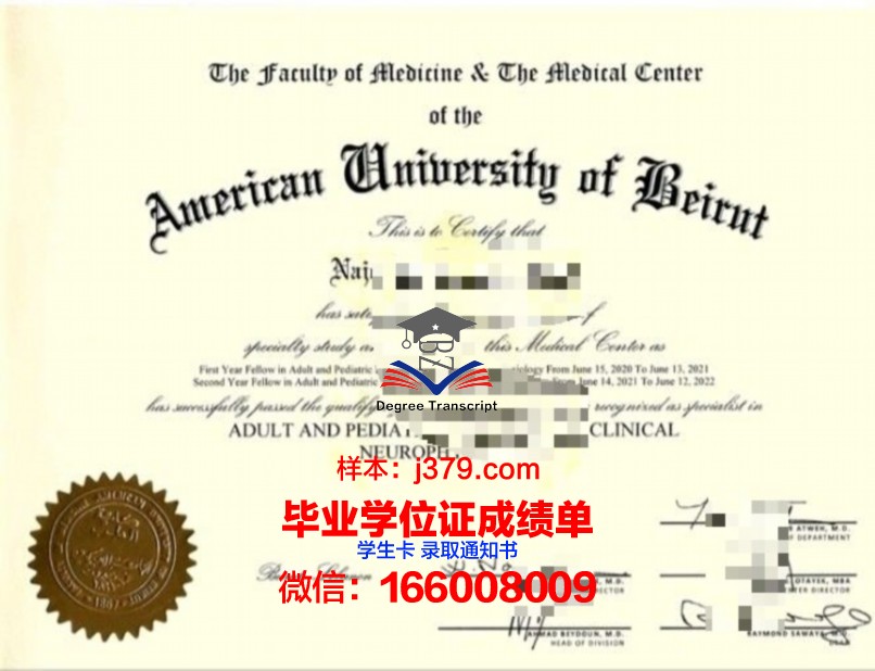 贝鲁特美国大学读多久才毕业证(贝鲁特现在怎么样了)