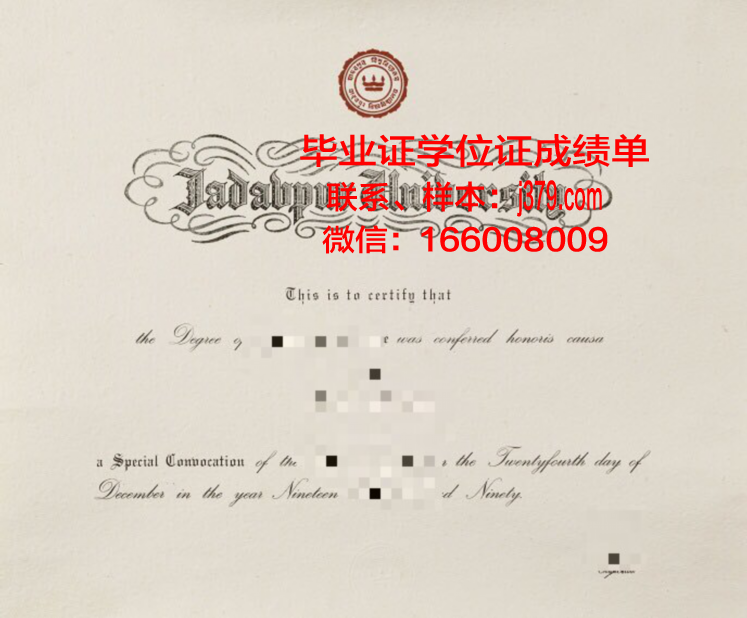 贾达普大学毕业证图片