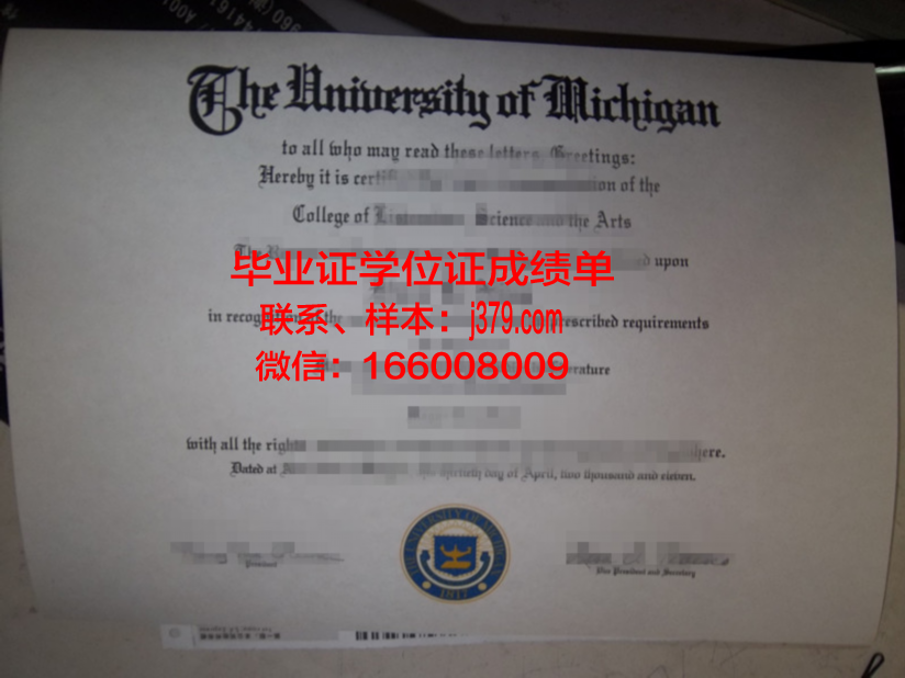 塞尔吉奥·阿博莱达大学本科毕业证：开启人生新篇章的钥匙