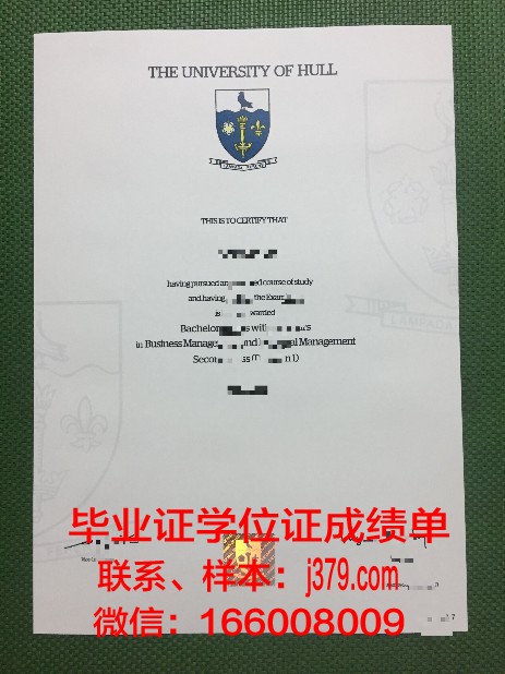 赫尔大学学位证书是啥样的(赫尔大学学位证书是啥样的图片)