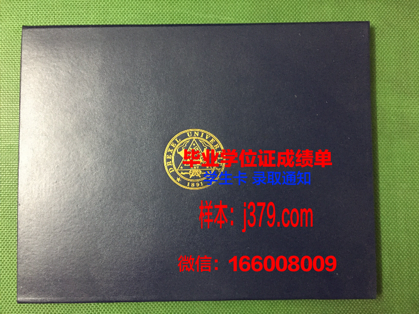 塞尔库克大学毕业证定制：传承与创新的艺术结晶