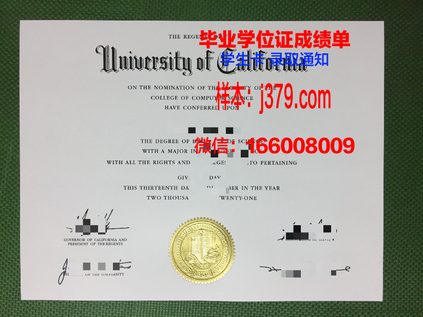 费希塔迪普霍尔茨应用技术大学毕业证电子版