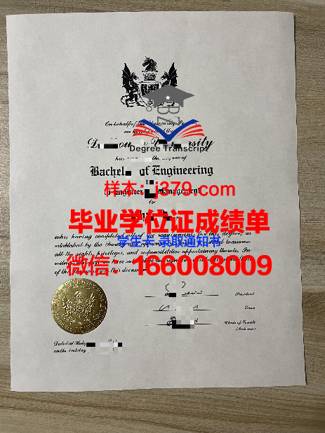 贡达尔大学成绩单：一份见证成长与荣誉的纸