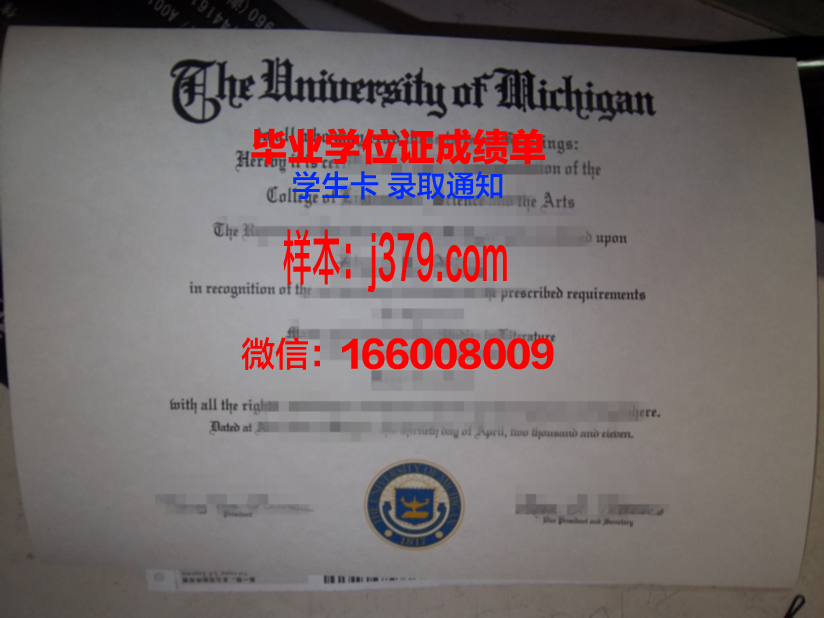 塞塔特哈桑一世大学硕士毕业证：跨越国界的学术荣耀