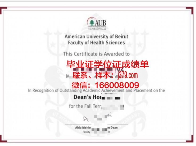 贝鲁特阿拉伯大学毕业证照片(贝鲁特美国大学怎么样)