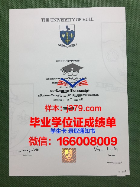 赫尔大学毕业证案例(英国赫尔大学毕业证什么样)