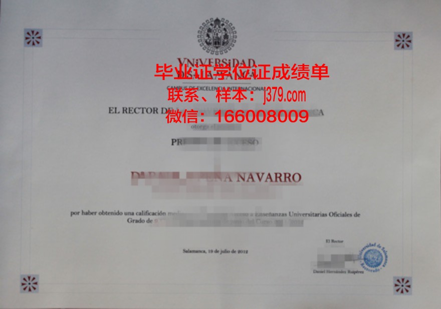 费撒巴拉政府大学学院毕业证书(费萨拉巴德政府学院大学)