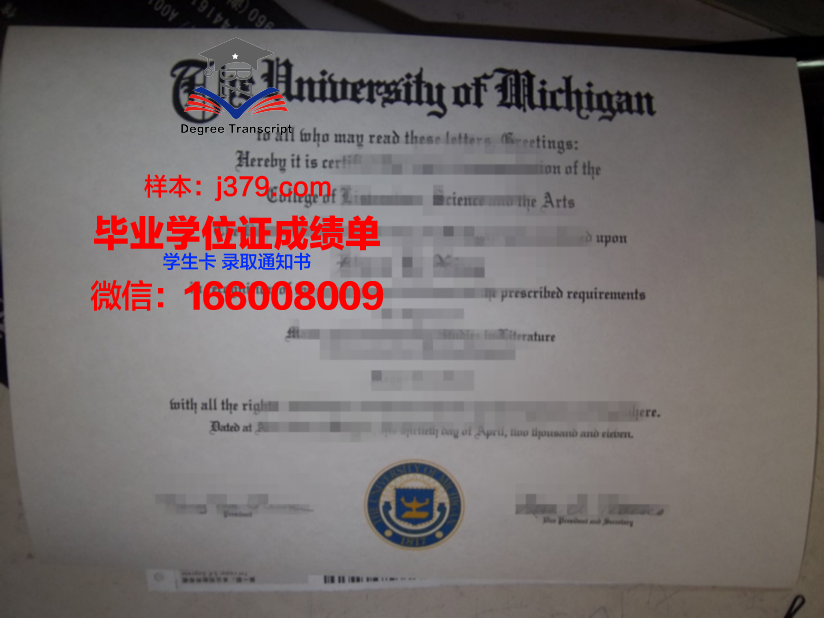 贝赫什提大博士毕业证：承载荣誉与智慧的瑰宝