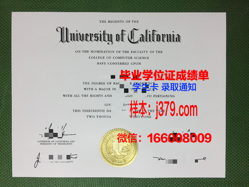 费希塔迪普霍尔茨应用技术大学毕业证补办