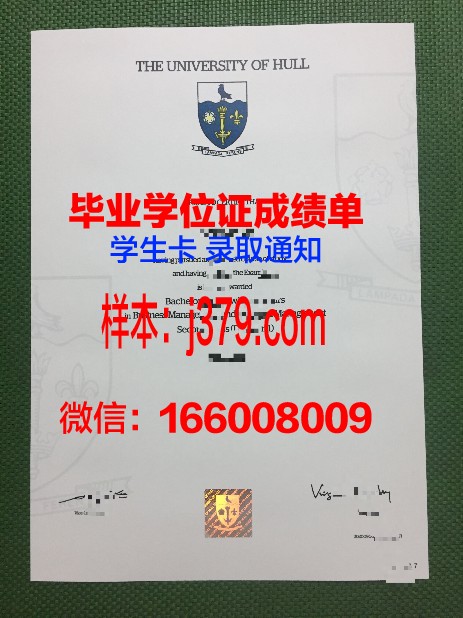 赫尔万大学毕业证图片(赫尔大学知乎)